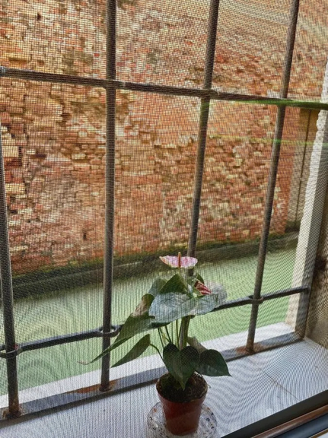 Hayez Rooms 威尼斯 0*,  意大利