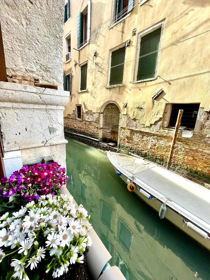 Hayez Rooms Venice Italy